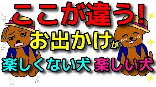 【犬 旅行 お出かけ】ここが違う！お出かけが楽しい犬！楽しくない犬 犬のしつけエマチャンネル【犬のしつけ＠横浜】