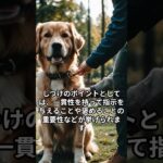 犬のしつけについて #雑学 #犬 #犬のしつけ #躾 #しつけ