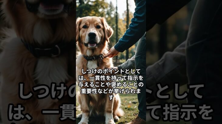 犬のしつけについて #雑学 #犬 #犬のしつけ #躾 #しつけ