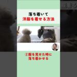 犬が落ち着いて洋服を着るコツ！簡単しつけ術