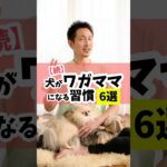 最終的には犬のストレスになることが1番の問題です！#犬のしつけ #犬のいる暮らし #dog