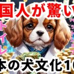 外国人が驚く日本の犬の常識10選