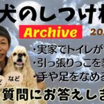 犬のしつけ相談ライブ☆ゲリラライブ【アーカイブ 2024/09/21】