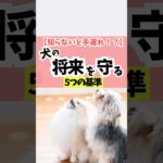 犬がかわいそう？かどうかはこの5つから判断しよう！#犬のしつけ #犬のいる暮らし #dog