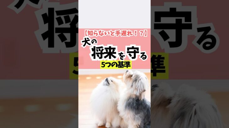 犬がかわいそう？かどうかはこの5つから判断しよう！#犬のしつけ #犬のいる暮らし #dog