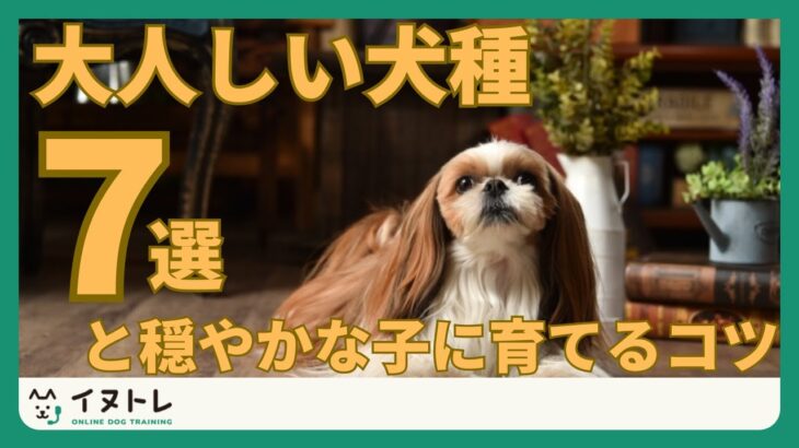 【大人しい犬種7選！】と穏やかな子に育てるコツ