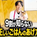 【犬しつけ/飼育】9割が知らない!正しいごはんのあげ方【ドッグトレーナー解説】