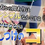 【犬のしつけの真髄】99％が知らない犬のしつけの大事なコツは〇〇でした