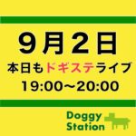 [LIVE] ドギステ生放送「犬の優位性について考える」：DOGGY STATION 犬のしつけ・問題行動・犬の心理学・犬の行動学・ドッグビヘイビアリスト