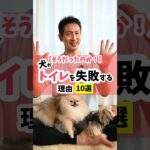 原因が見つかれば、対策も見えてくるよ！#犬のしつけ #犬のいる暮らし #dog