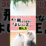 家庭犬としての失敗しない「ヨシ」のかけ方はコレ。#犬のいる暮らし #犬のしつけ #dog