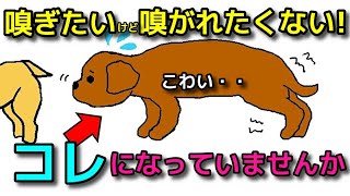 【犬 怖い あいさつ】嗅ぎたいけど怖いタイプはここに注意！犬同士近づける時のテクニック！犬のしつけエマチャンネル【犬のしつけ＠横浜】