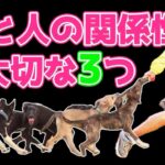 【犬と人】関係性に大事な３つ『しつけ』『コミュニケーション』『生きがい』