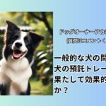 犬の預託訓練が効果的なケースとそうでないケースを考えてみるライブ配信