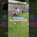 ※説明欄見てね！犬との生活を楽しむために大切な事！