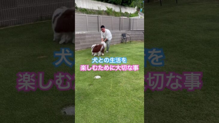 ※説明欄見てね！犬との生活を楽しむために大切な事！