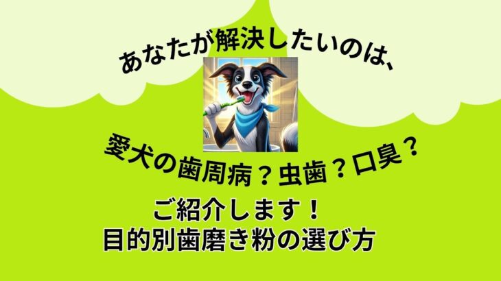 ご紹介します！目的別犬の歯磨き粉の選び方