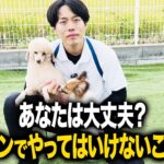 【犬しつけ】あなたは本当に大丈夫？ドッグランで絶対にやってはいけないこと３選【トレーニング】