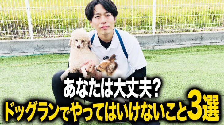 【犬しつけ】あなたは本当に大丈夫？ドッグランで絶対にやってはいけないこと３選【トレーニング】