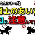 【犬 散歩 あいさつ】これやっていませんか？犬同士近づける時に注意すること！犬のしつけエマチャンネル【犬のしつけ＠横浜】