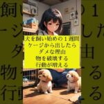 犬を飼い始めの１週間ケージから出したらダメな理由 ④ #犬の雑学 #犬の豆知識 #犬のいる暮らし #犬のいる生活 #犬を飼うということ #子犬 #子犬しつけ