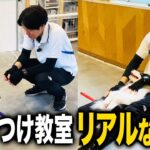 【犬しつけ】しつけ教室のリアルに迫る！業界歴10年以上のプロドッグトレーナーの指導！