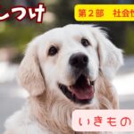 【いきものずかん】犬のしつけガイド　第2部：社会性の育成