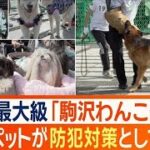 ほえて威嚇！防犯効果で注目　犬による防犯の重要性　愛犬向けイベントでしつけ教室も【ワイド！スクランブル】(2024年10月22日)