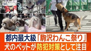 ほえて威嚇！防犯効果で注目　犬による防犯の重要性　愛犬向けイベントでしつけ教室も【ワイド！スクランブル】(2024年10月22日)