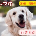 【いきものずかん】犬のしつけガイド　第3部：問題行動の修正