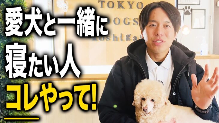 愛犬と一緒に寝たい人はみて。注意ポイント3選！【ドッグトレーナー解説】