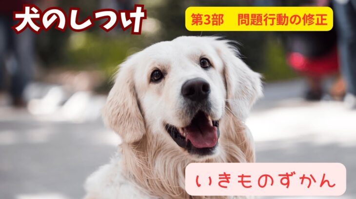 【いきものずかん】犬のしつけガイド　第3部：問題行動の修正