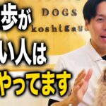 【犬しつけ】散歩で絶対に教えてほしいこと5選!