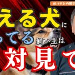 【しつけ】犬の吠えグセ改善法8選 〜物音対策から心理分析まで〜