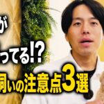 【犬しつけ】9割が間違ってる!?室内飼いの注意点3選