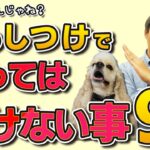 犬のしつけでやってはいけない９個のNG行動！