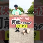 何歳から始める？何歳までできる？#犬のしつけ #犬のいる暮らし #dog