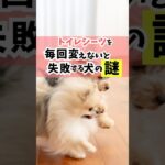 犬のトイレのセッティングや使う用品は、愛犬のクセに合わせて選ぼう！#犬のしつけ #犬のいる暮らし #dog