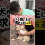 愛犬がみんなを見る目が変わるよ♪#犬のしつけ #犬のいる暮らし #dog