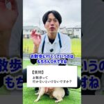 【犬しつけ】お散歩には行かないといけないの？