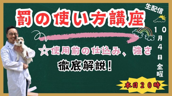 【犬】罰の正しい使い方講座【しつけ】