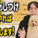 【犬しつけ】犬のしつけコレやれば成功します【トレーニング】