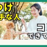 【犬のしつけ】上手にしつけをするための３つのポイント