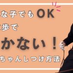 【実践】お散歩で歩かない！わんちゃんしつけ方法