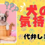 【犬の気持ち】どこまで分かりますか？ワンちゃんが出しているサインを読み取りましょう！