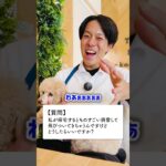 【しつけ】愛犬が興奮して飛びつくお悩みはコレで解決してください！