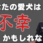 犬のしつけによる本当の幸せとは…超重要な考え方を話しています。