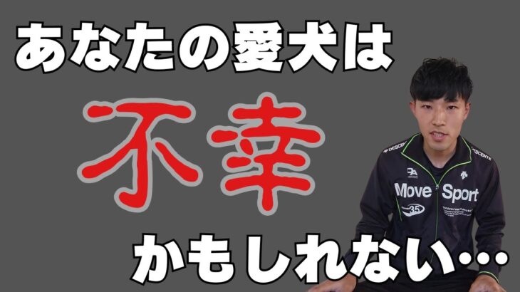 犬のしつけによる本当の幸せとは…超重要な考え方を話しています。