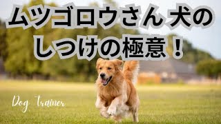 wan005ムツゴロウさん 犬のしつけの極意！