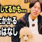 【犬しつけ】愛犬にかかる1年間のお金の平均額コレが適正です